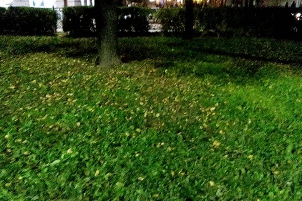 Какая ссылка у кракена