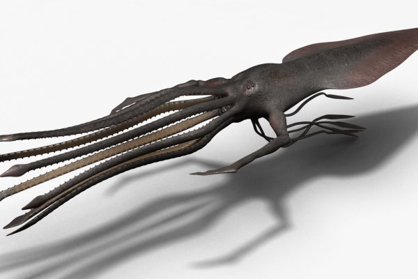 Kraken site