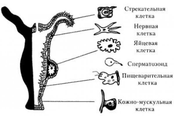 Магазин кракен даркнет сайт