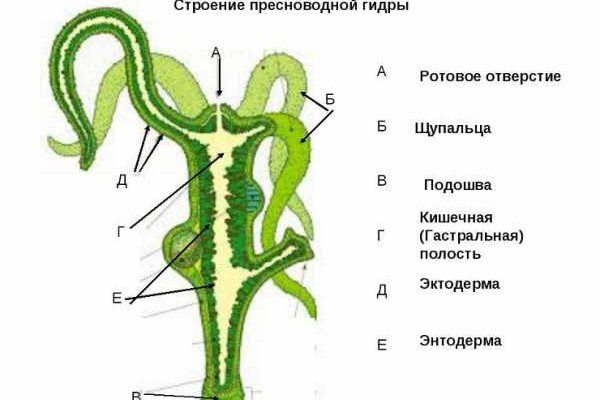 Кракен сайт нарк